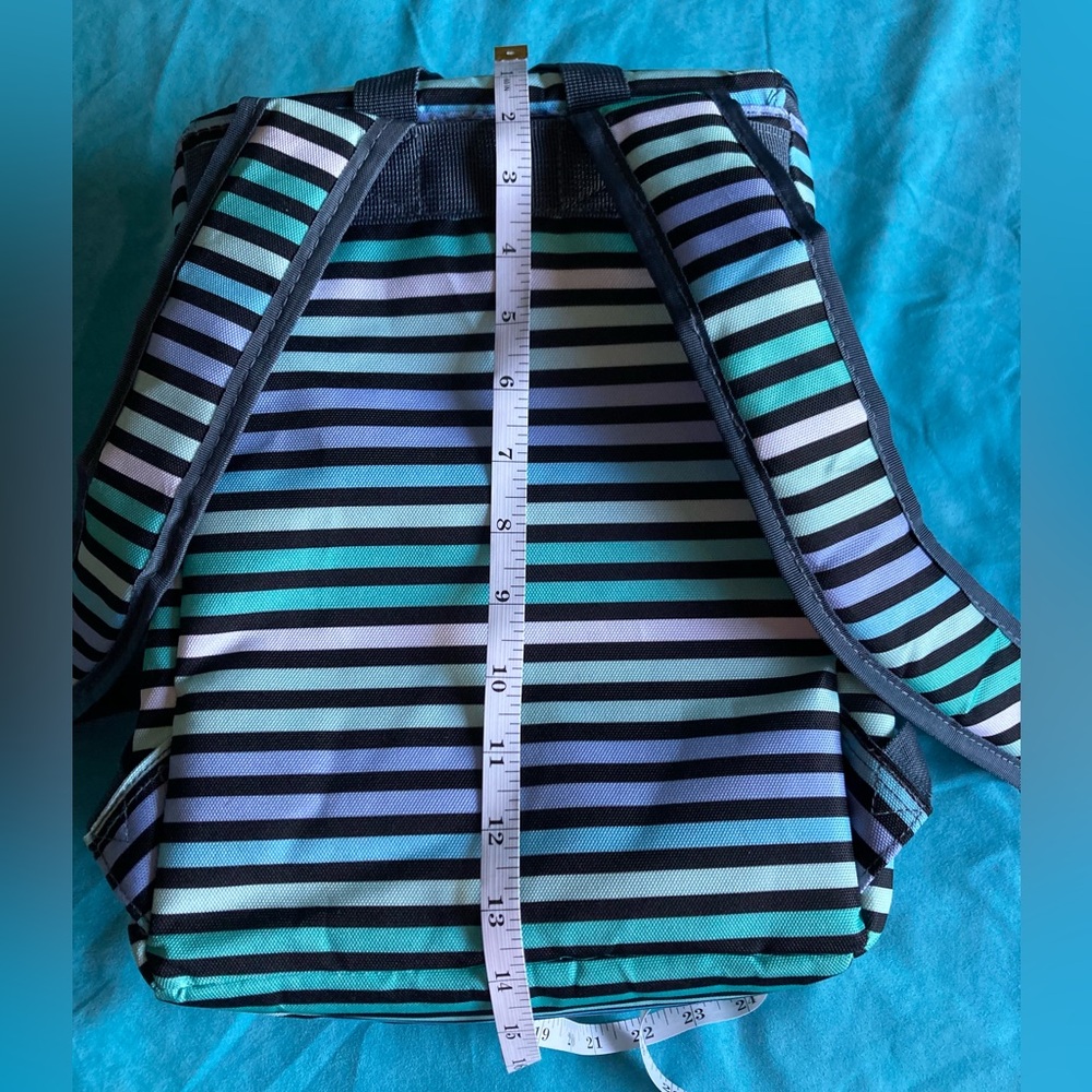 PACKIT Striped Insulated Lunch Bag Backpack- Blue, Green, Black NWT - Picture 7 of 12